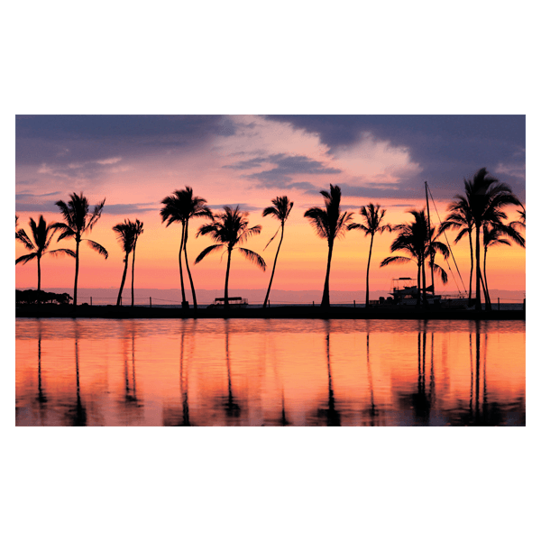 Wall Stickers: Sticker Ikea Lack Table Palms at sunset 0