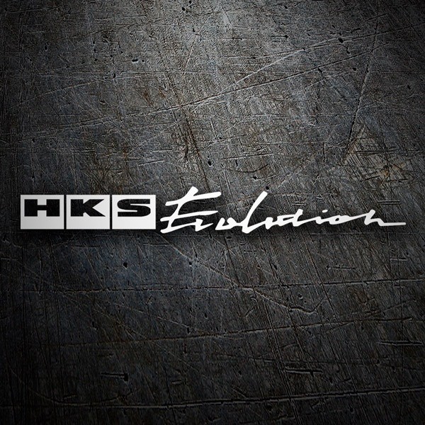 Car & Motorbike Stickers: HKS Evolution