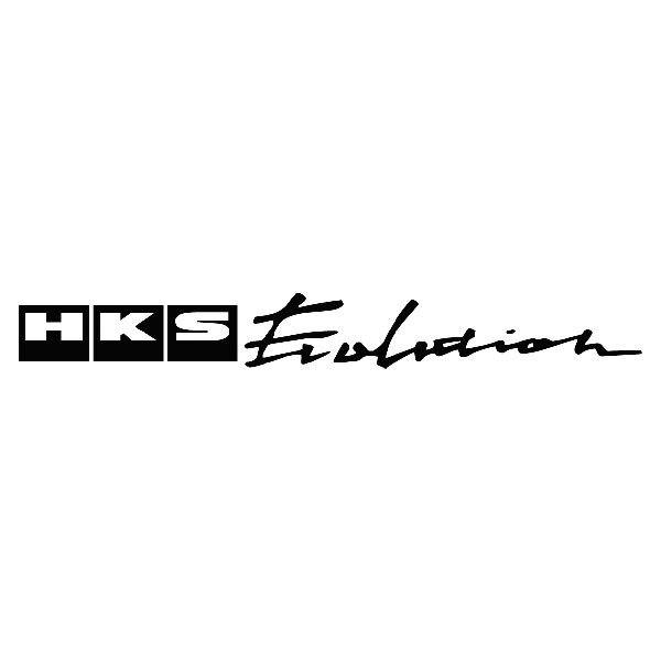 Car & Motorbike Stickers: HKS Evolution