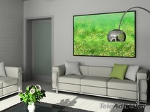 Wall Stickers: Flowers and grass in the meadow 3