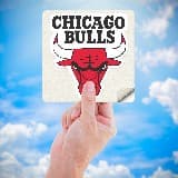 Car & Motorbike Stickers: NBA - Chicago Bulls shield 5