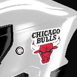 Car & Motorbike Stickers: NBA - Chicago Bulls shield 6