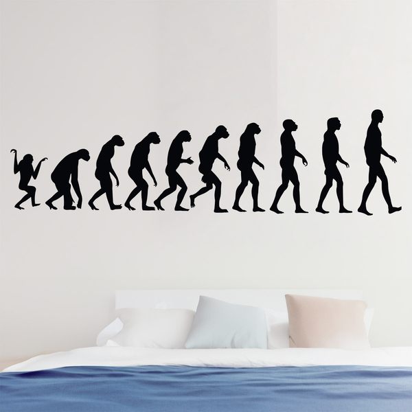 Wall Stickers: Evolution