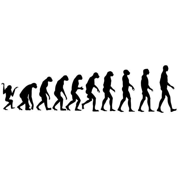 Wall Stickers: Evolution