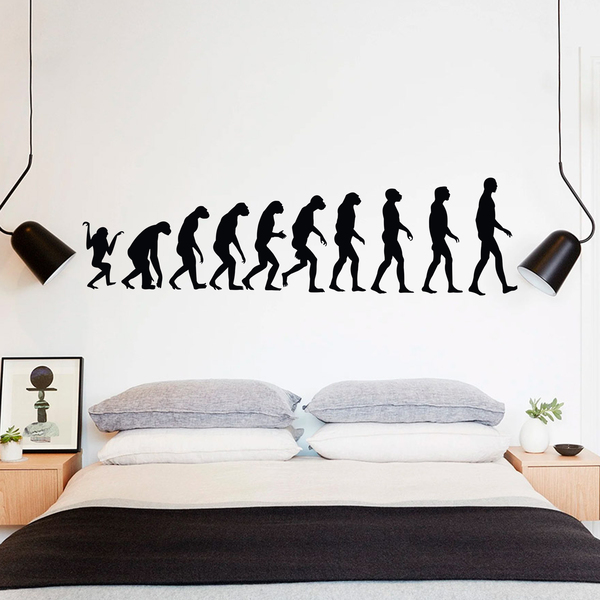 Wall Stickers: Evolution