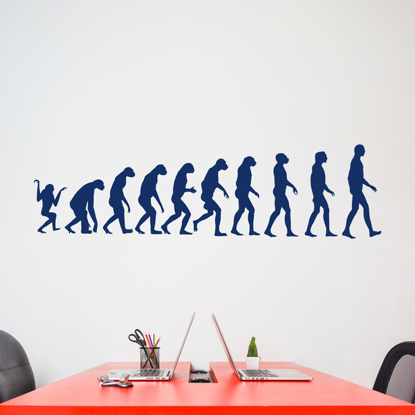 Wall Stickers: Evolution