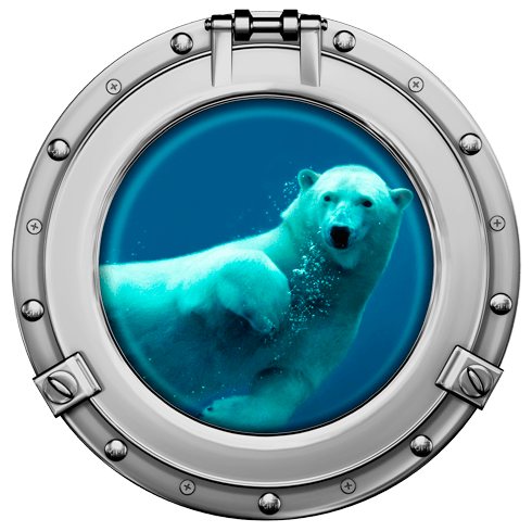 Wall Stickers: Polar bear swimming porthole