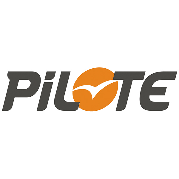 Camper van decals: Pilote