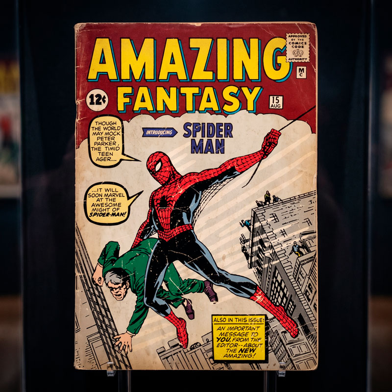 Amazing Fantasy Spider-Man 6/6