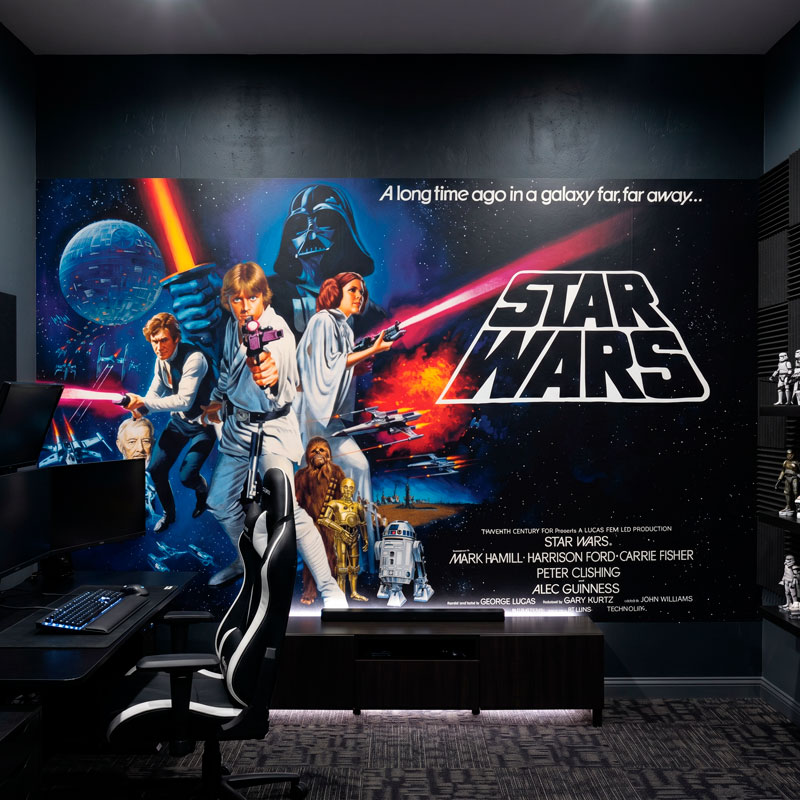 Star Wars A Long Time Ago Poster 8