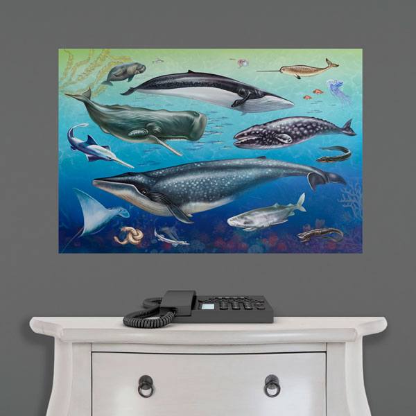 Wall Stickers: Oceanic Fauna