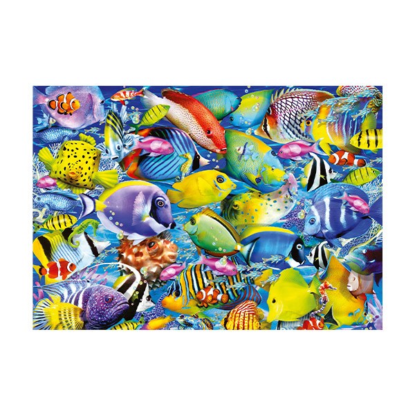 Wall Stickers: Colorful Fish