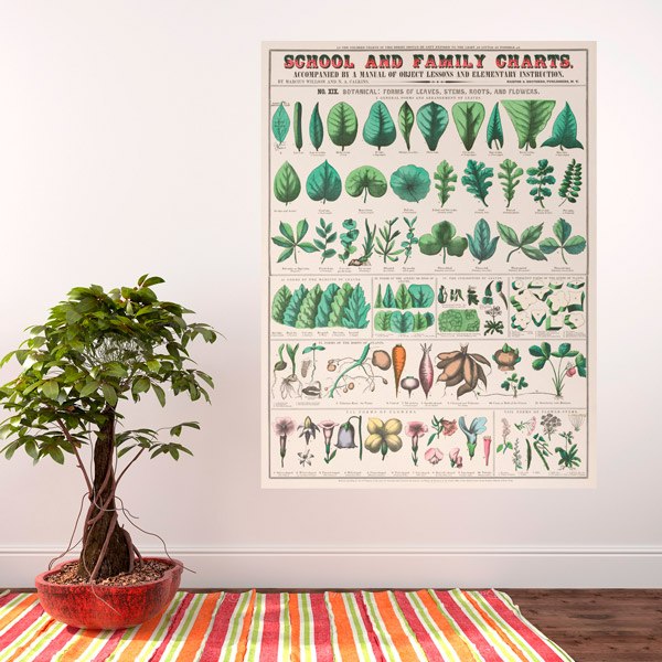 Wall Stickers: School and Family Charts