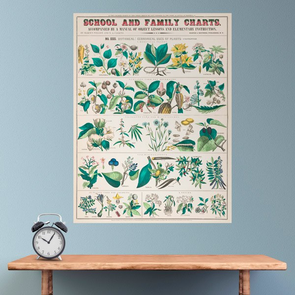 Wall Stickers: School and Family Charts II