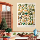 Wall Stickers: Types of Fruit 3