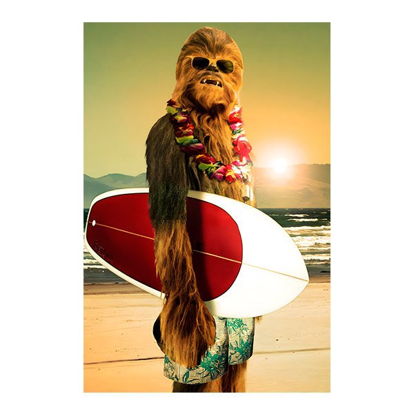 Chewbacca vans clearance