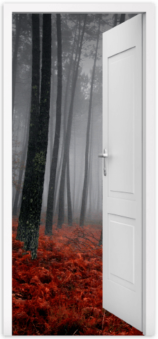 Wall Stickers: Open door forest in autumn