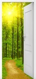 Wall Stickers: Open door to the forest 6