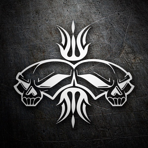 Car & Motorbike Stickers: Symmetrical Skulls