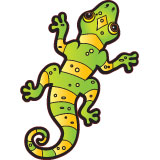 Car & Motorbike Stickers: Green and yellow salamander 3