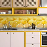 Wall Murals: Lemons 2