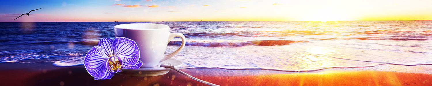 Wall Murals: Cup of coffee on the beach