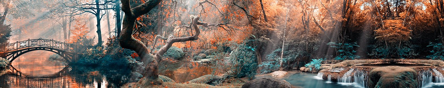 Wall Murals: Forest and bridge in autumn