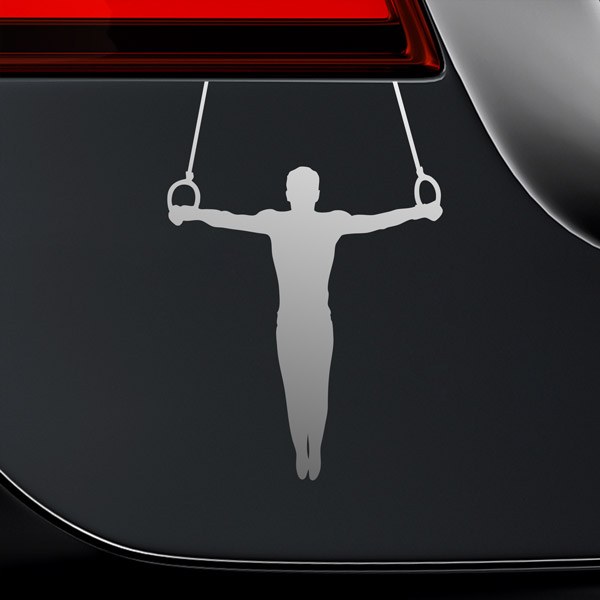 Car & Motorbike Stickers: Gymnastics Rings