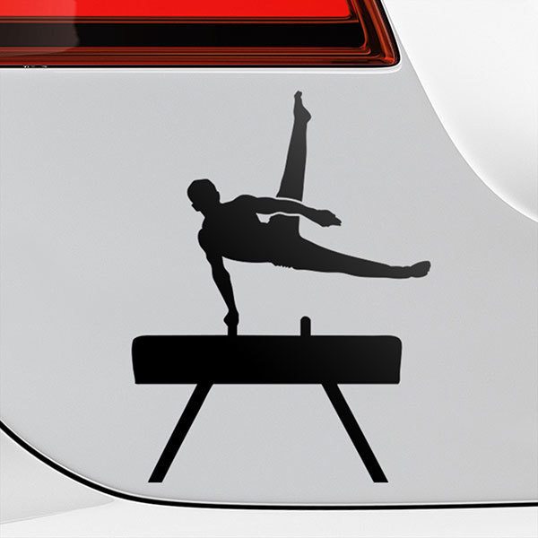 Car & Motorbike Stickers: Gymnastic pommel horse