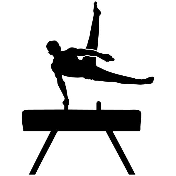 Car & Motorbike Stickers: Gymnastic pommel horse