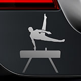 Car & Motorbike Stickers: Gymnastic pommel horse 2