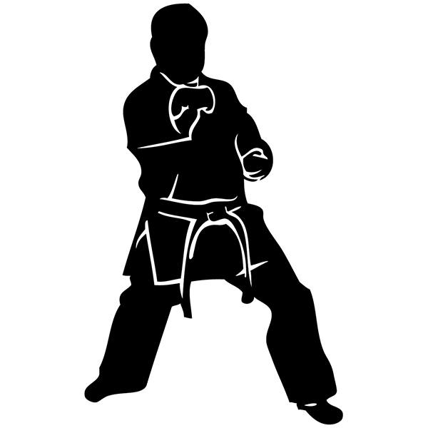 Car & Motorbike Stickers: Taekwondo Fighter