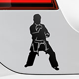 Car & Motorbike Stickers: Saju jirugi Taekwondo 2