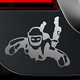 Car & Motorbike Stickers: Freefall 2