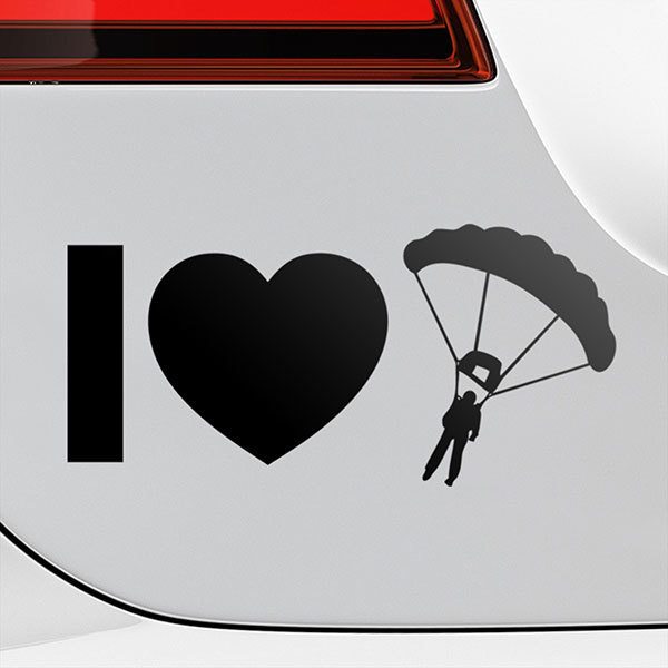 Car & Motorbike Stickers: I love Fly