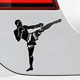 Car & Motorbike Stickers: Kick Boxing Front 2