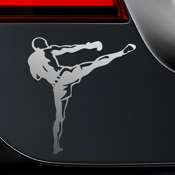 Car & Motorbike Stickers: Kick Boxing Backs