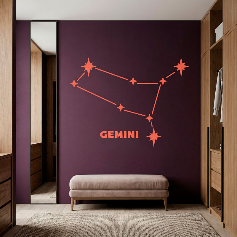 Gemini Constellation 6