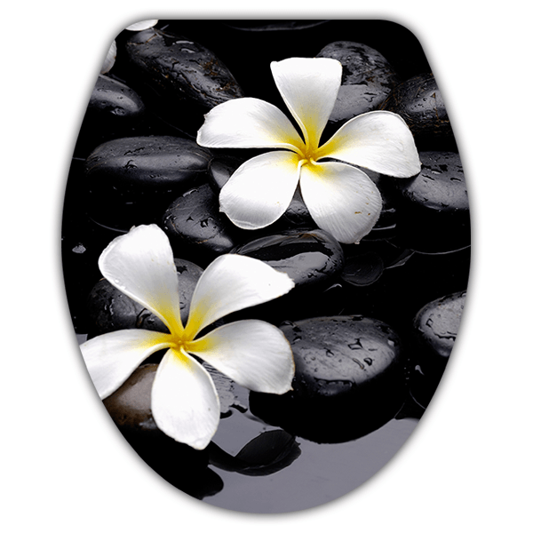 Wall Stickers: Top WC flowers frangipani