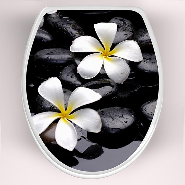Wall Stickers: Top WC flowers frangipani