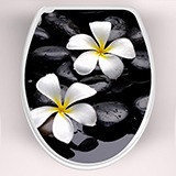 Wall Stickers: Top WC flowers frangipani 3