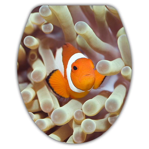 Wall Stickers: Top WC clownfish