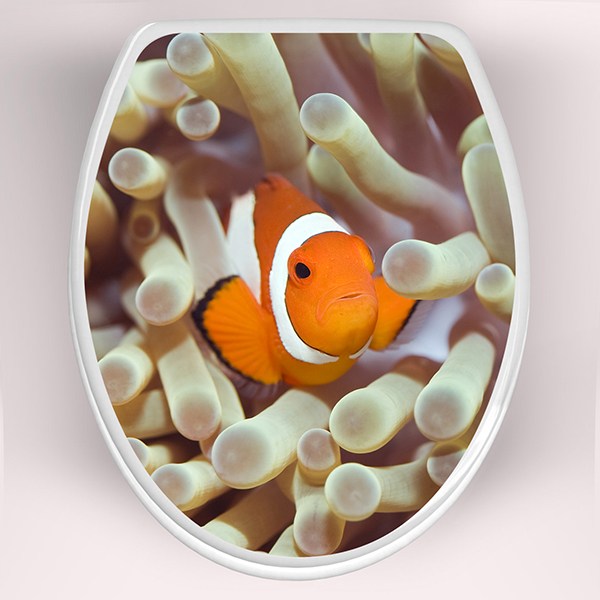 Wall Stickers: Top WC clownfish 