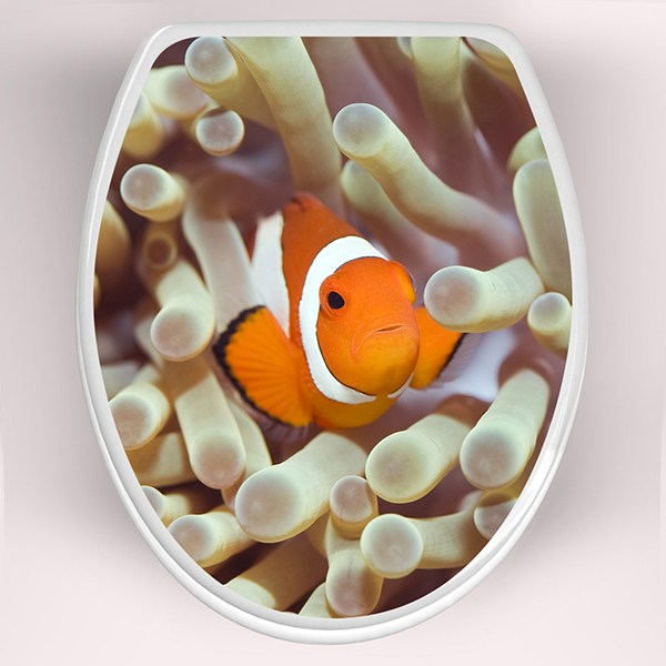 Wall Stickers: Top WC clownfish