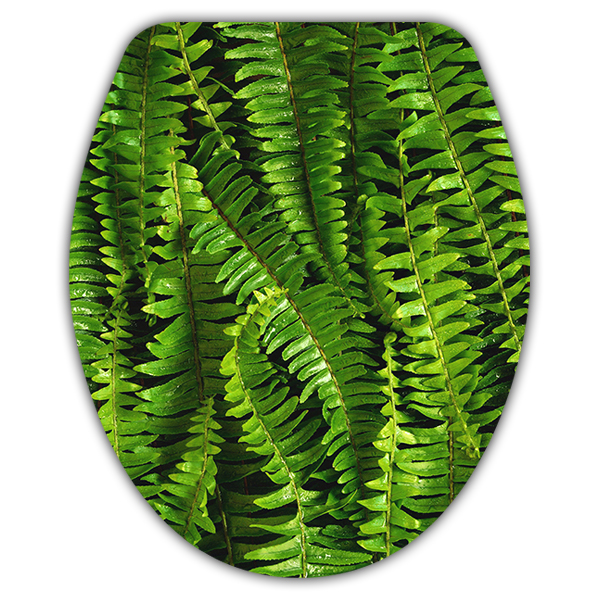 Wall Stickers: Top WC ferns