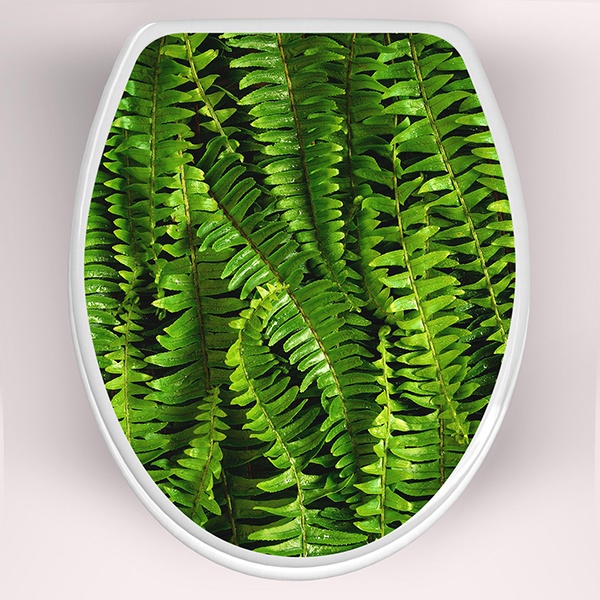 Wall Stickers: Top WC ferns