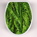 Wall Stickers: Top WC ferns 3