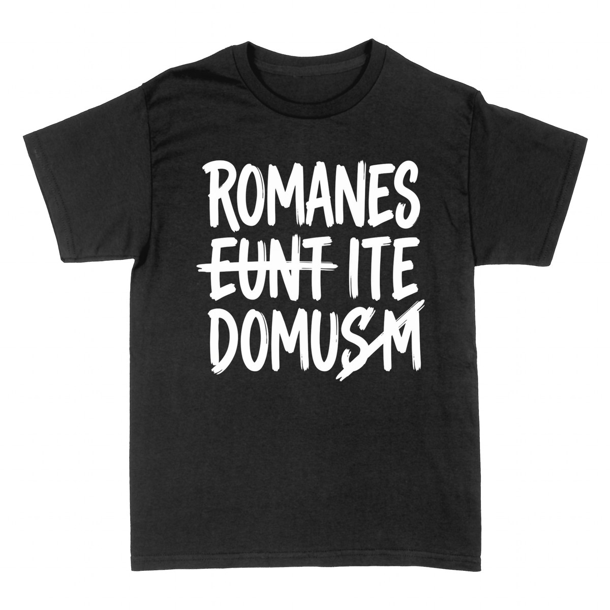 T-shirts: Romanes Eunt Domusm &mdash; Classic Latin Humor