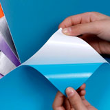 Car & Motorbike Stickers: Adhesive Vinyl Sheets 7
