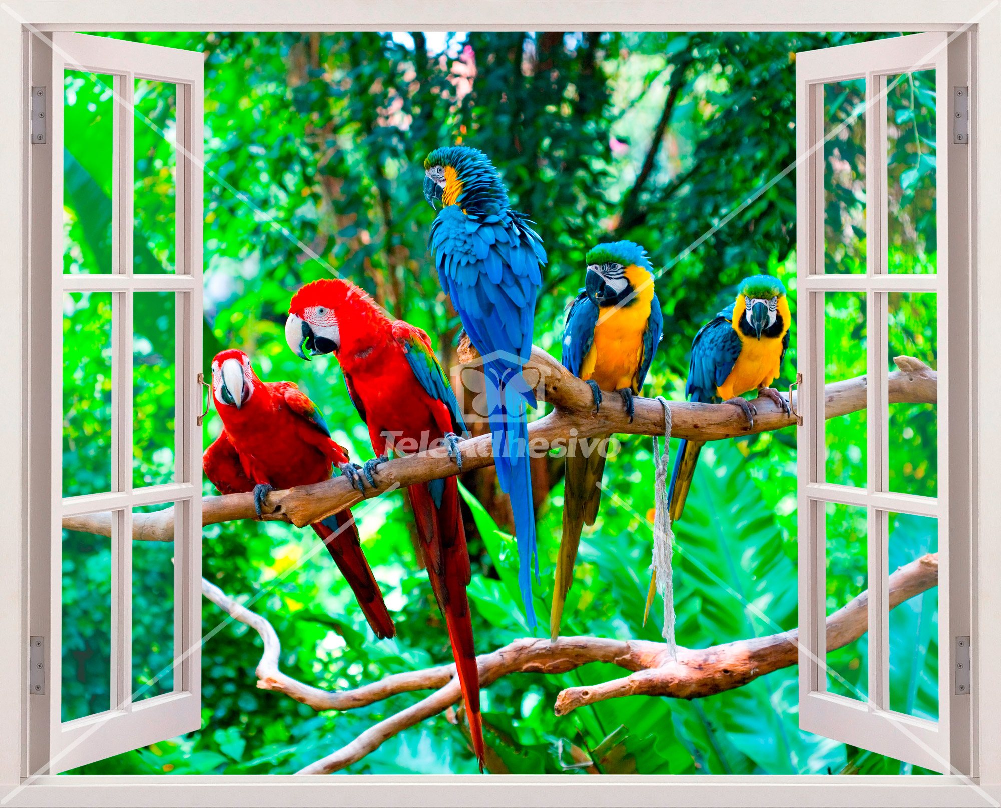 Wall Stickers: Parrots